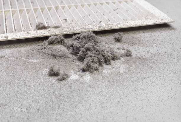 Best Affordable Air Duct Cleaning  in Meraux, LA
