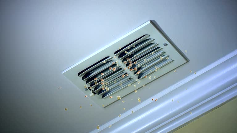 Best HVAC Maintenance and Cleaning  in Meraux, LA