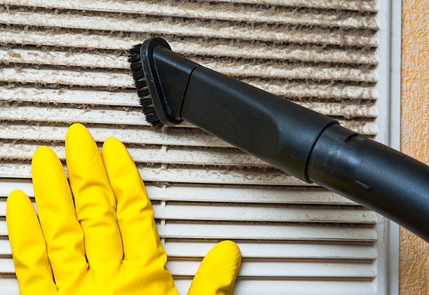 Best Air Duct Cleaning Near Me  in Meraux, LA