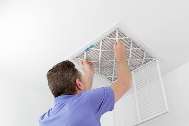 Best HVAC System Cleaning  in Meraux, LA